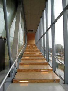 1300228404-educatorium-flickr-user-roryrory2