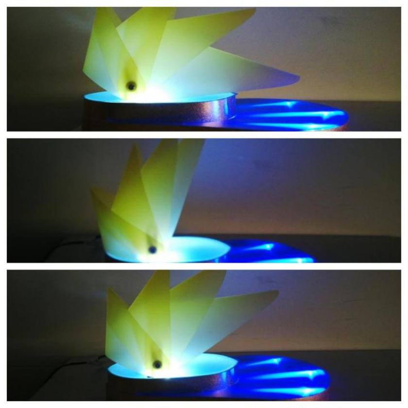 Nhà hát Opera Sydney với án sáng huyền ảo